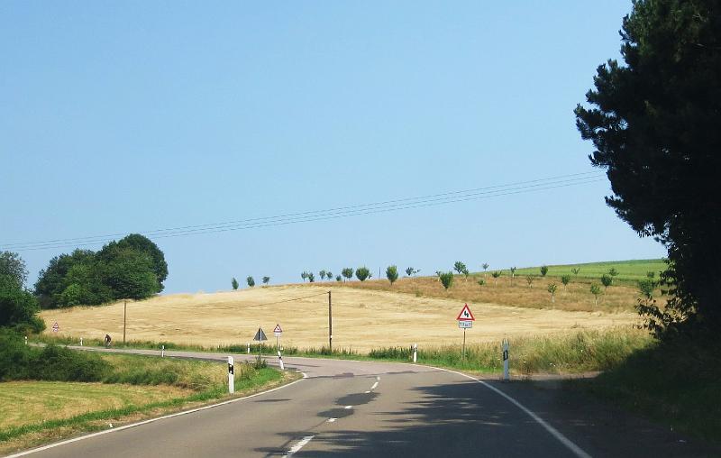 Schwarzwalder Hochwald dag 2- (206).JPG